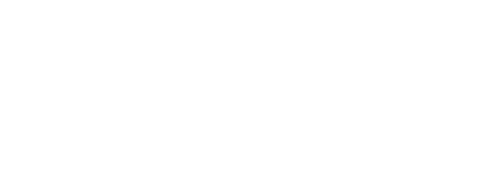 Deepseek Data Hat AI Partners logo